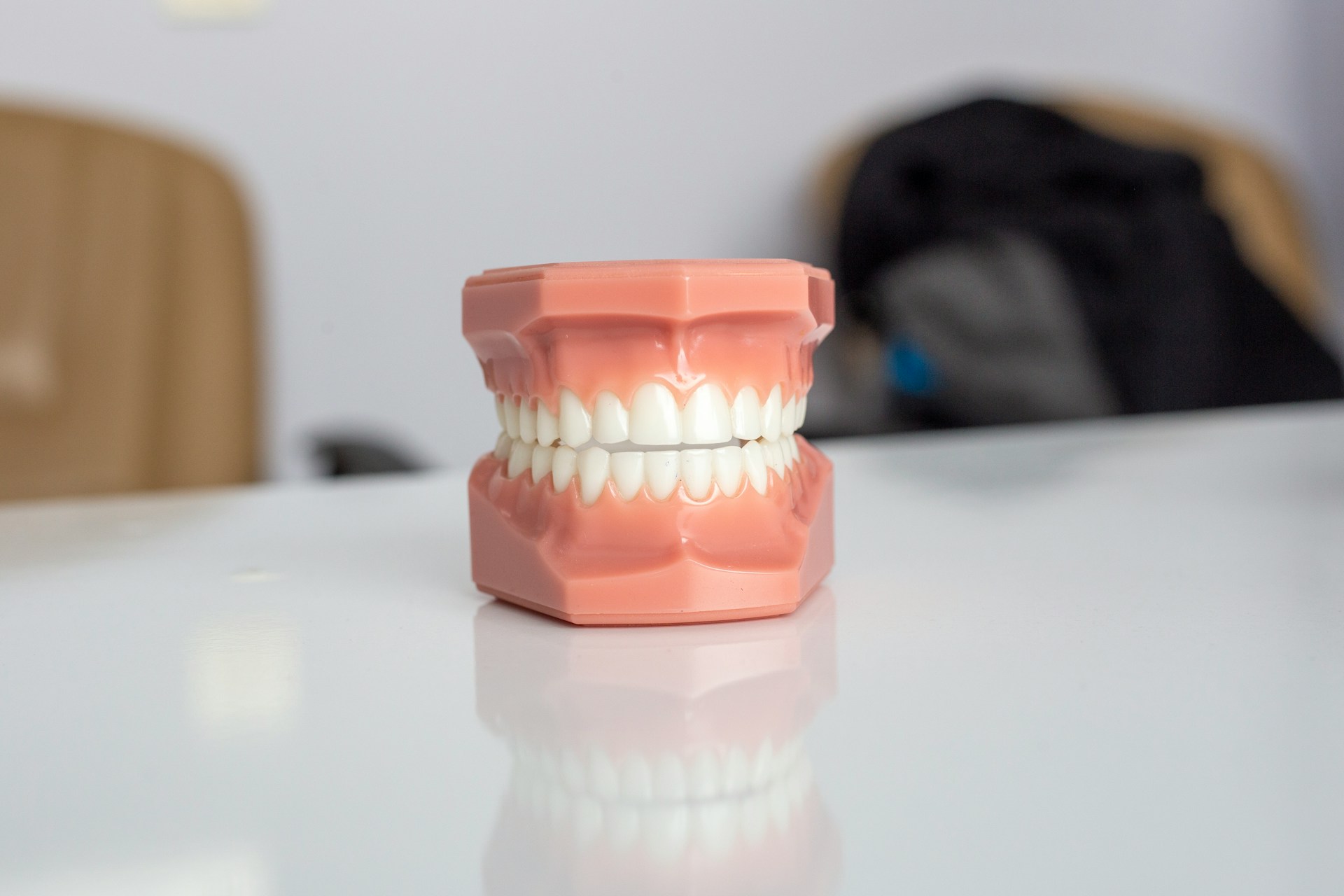 Modèle dentaire illustrant une dentition saine utilisé pour expliquer les soins de parodontologie chez Chadi Dental Clinic à Casablanca.